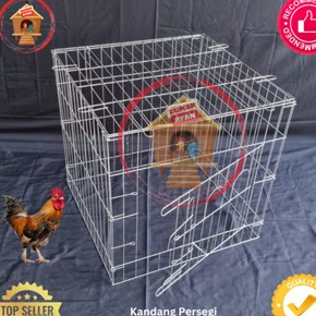 kandang 60x60x70