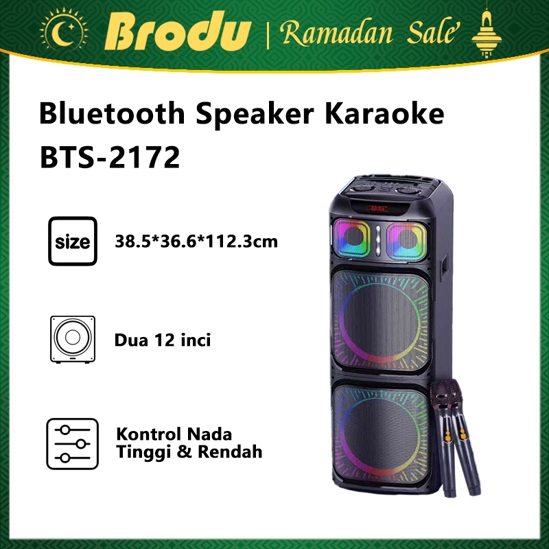 Speaker Karaoke Brodu BTS-2172 Dengan 2 Mic Wireless & LED Rhythm Lights - Speaker Full Range Portab