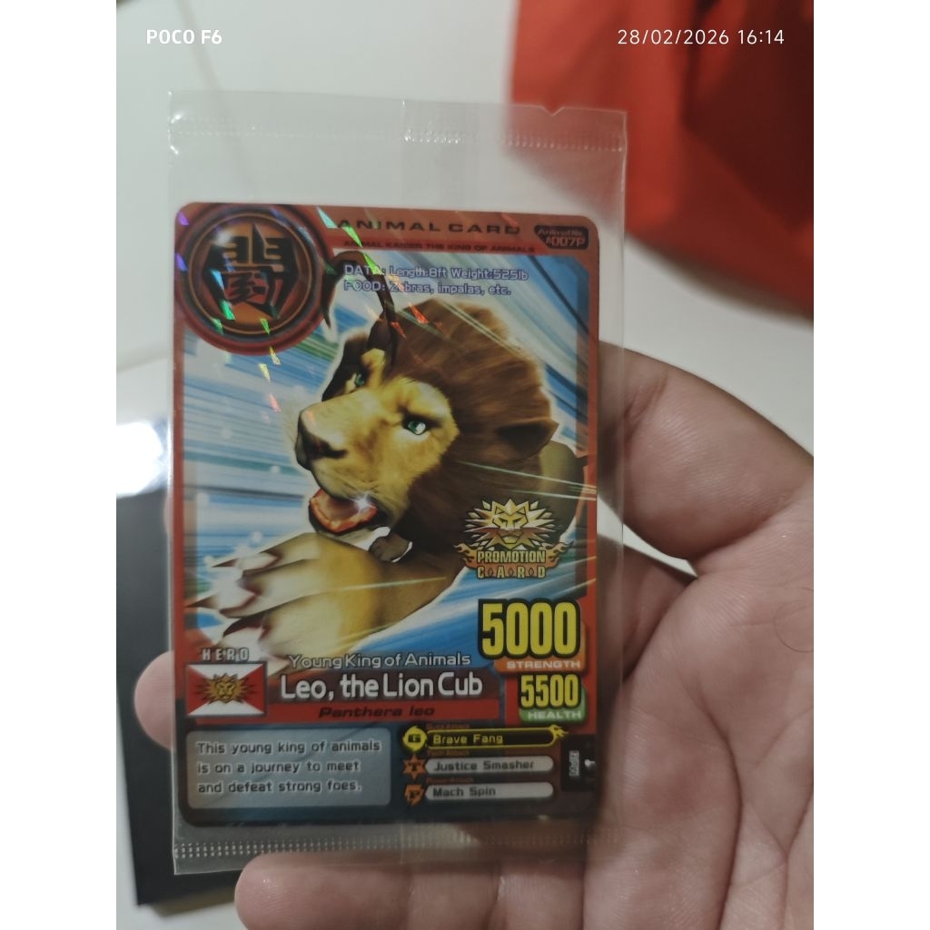 kartu animal kaiser Ak+ (leo the lion cub pack)