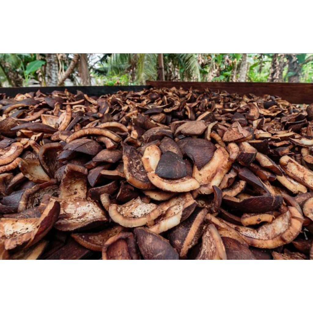 Kopra Kelapa Tua Kering Obat Herbal Minyak Asli 1 Kg Banyak Manfaat | Kopra Kelapa Jemur