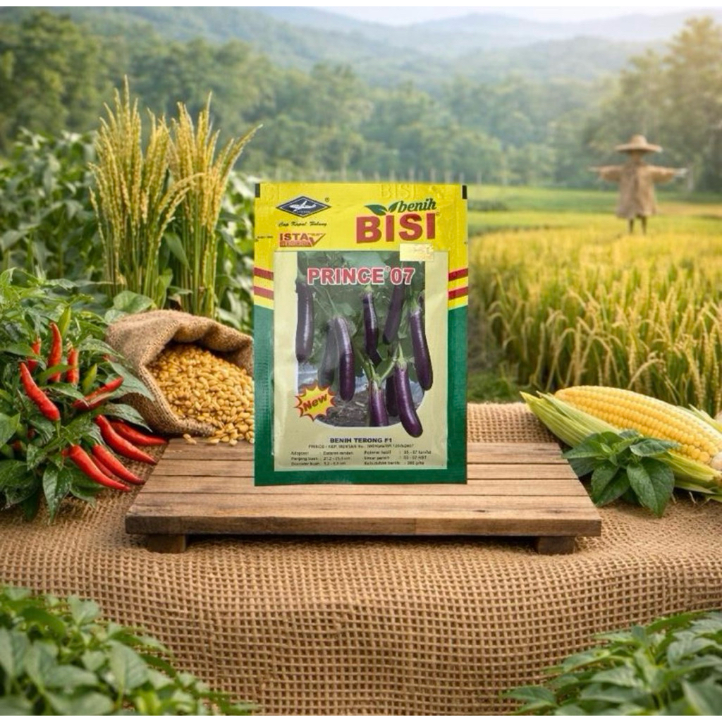 Benih Terong Prince 07