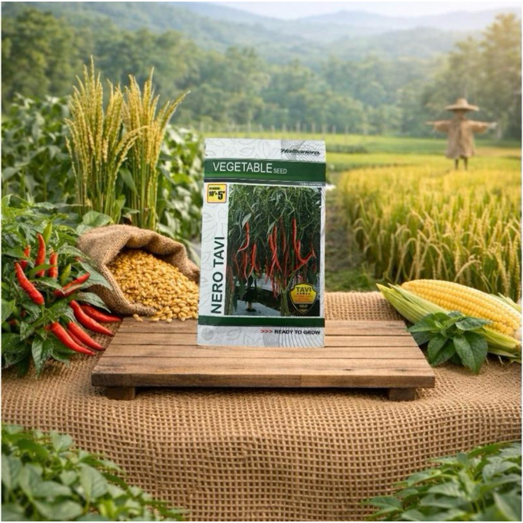 Cabai Keriting Nero Tavi 10 gr