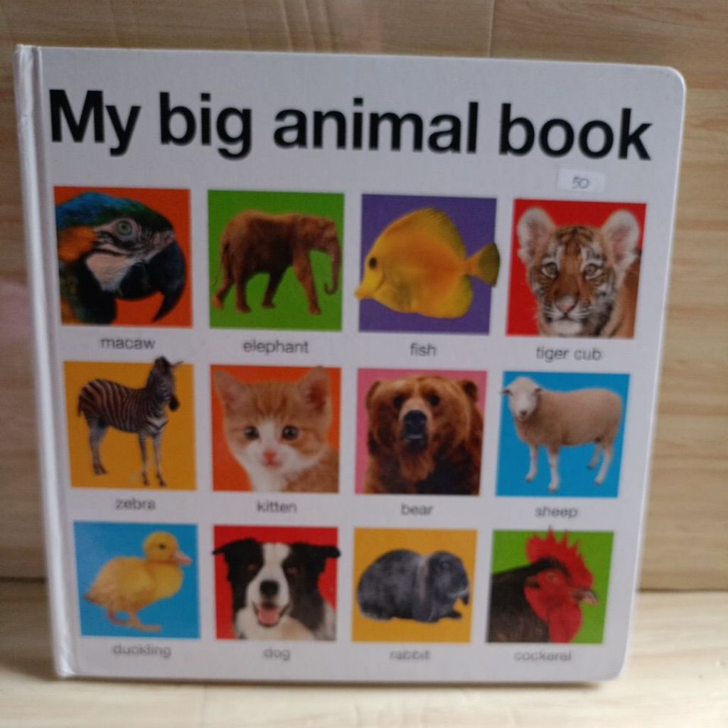 Import : My Big Animal Book