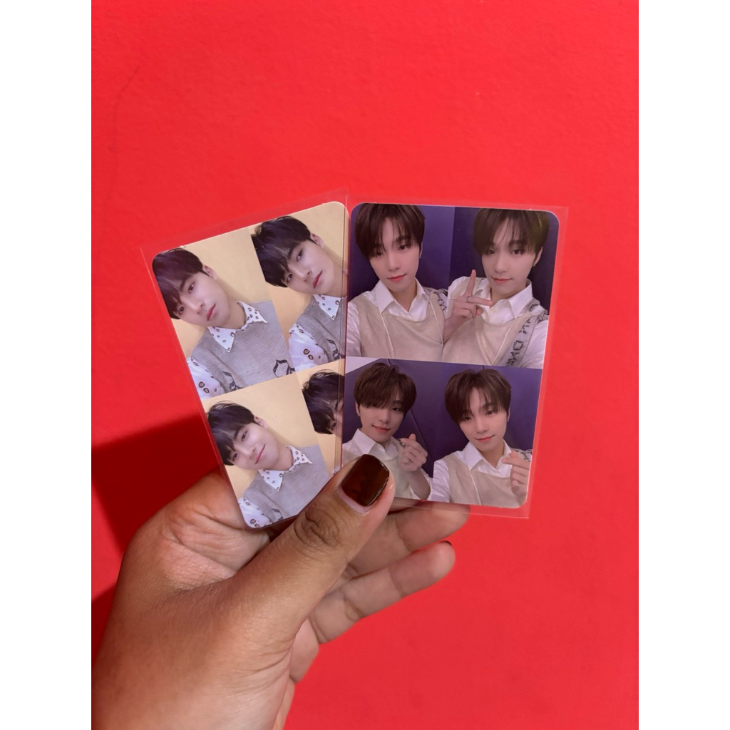 Photocard Grid Dino + Mingyu