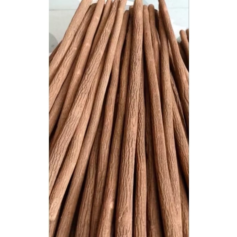 TANGKRINGAN ASEM TETEHAN / ASEM JAWA – KHUSUS MURAI BATU