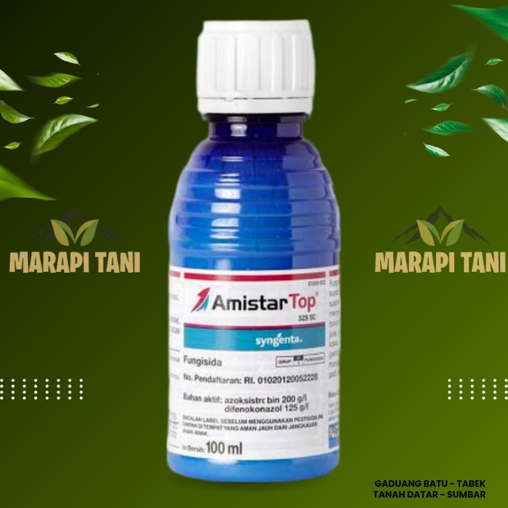 FUNGISIDA AMISTARTOP 50ML-100ML-250ML // AZOKSISTROBIN - DIFENOKONAZOL