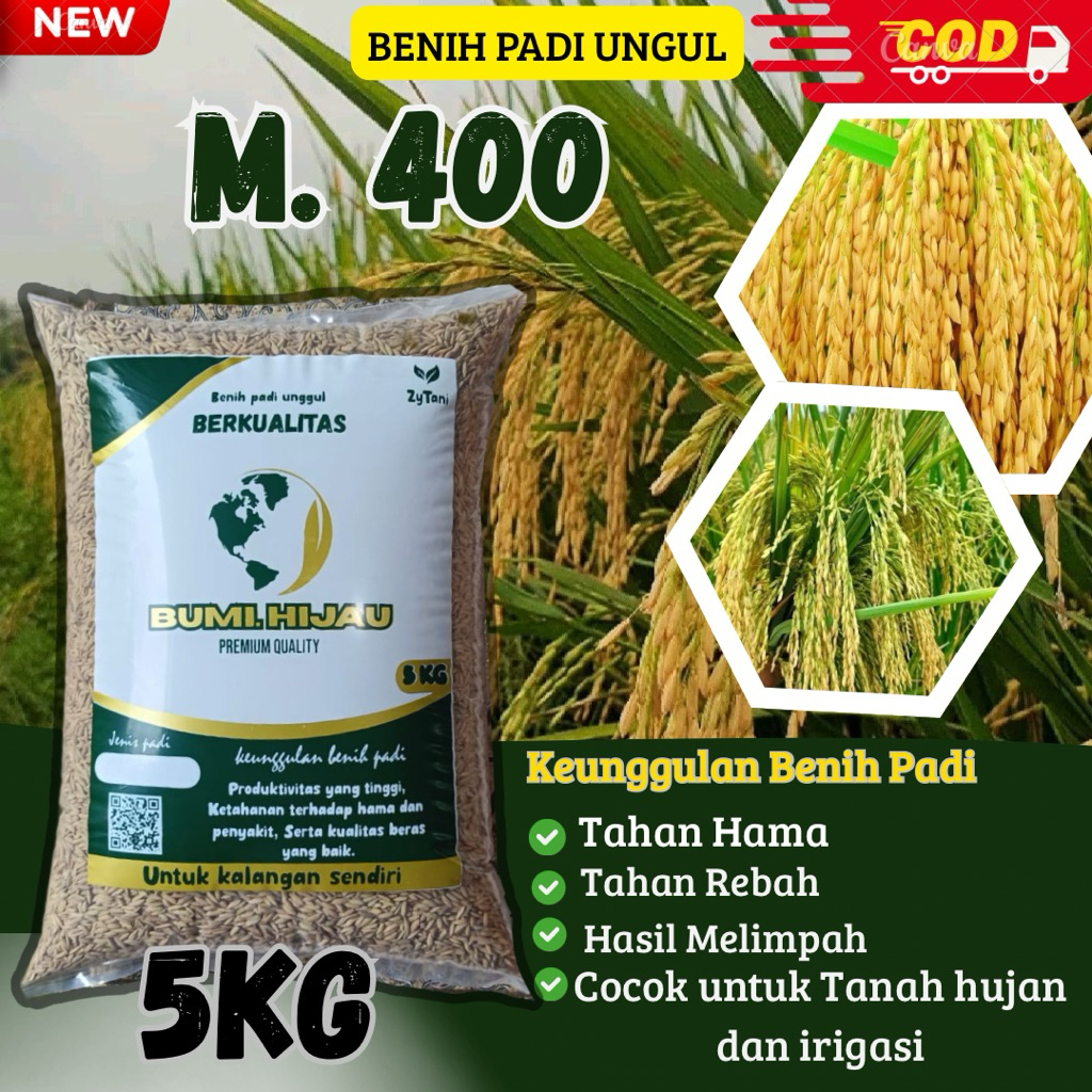 Benih bibit padi unggul M 400 kemasan 5kg berkualitas super