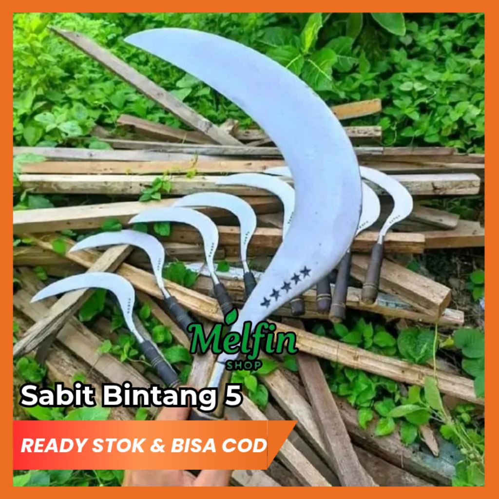 Arit Sabit Baja Pembersih Rumput Bintang Lima Putihan Sudah Di Sepuh Dan Di Asah Tinggal Pakai