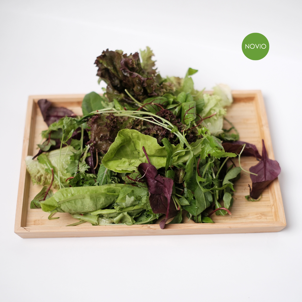 Sayuran Salad Mesclun Fresh / Baby Leaf/ Salad Sayur Mix