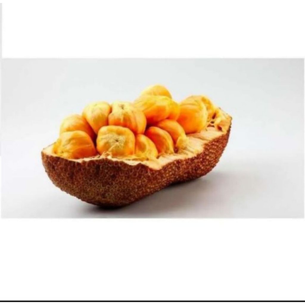 Cempedak kupas frozen matang Enak untuk digoreng pengiriman cepat