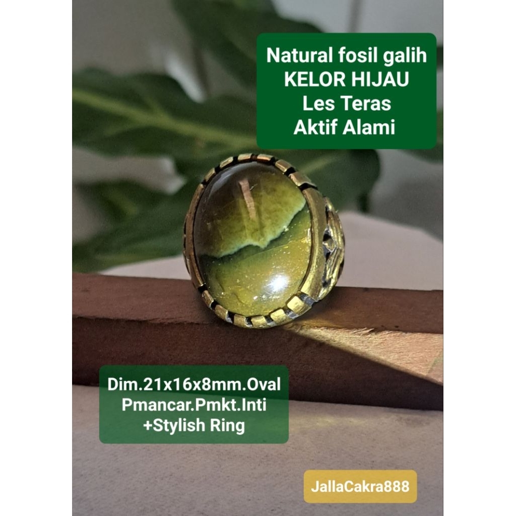 Natural Fsl GALIH KELOR HIJAU dan Merah Les Sumatra Teras Alami Alam Moringa Oleifera | Batu Vintage