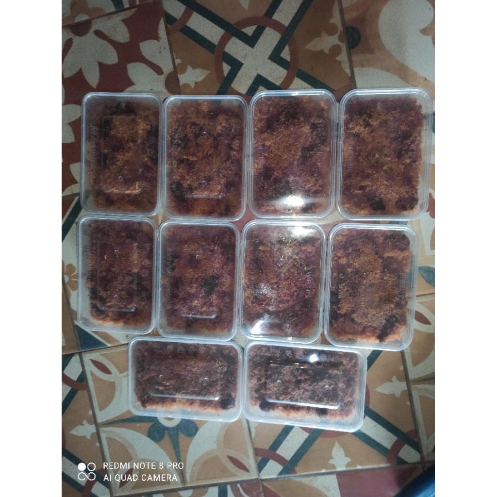 Dendeng daging sapi