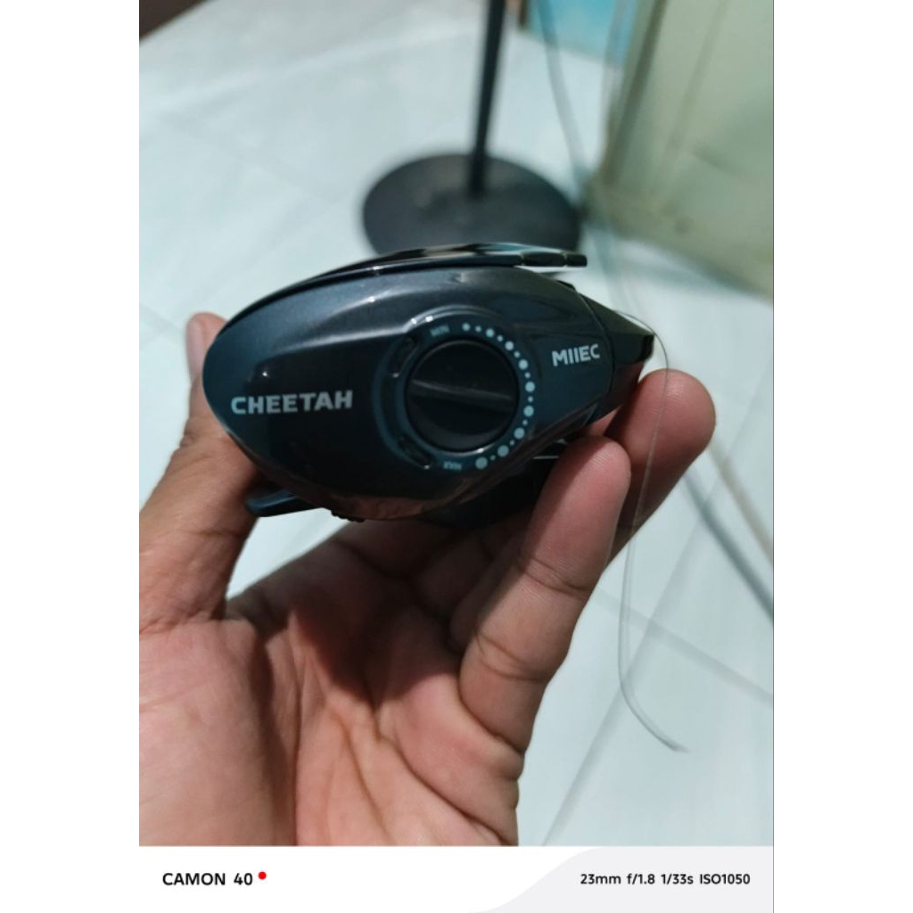 Reel Bc Dmk cheatah DC second