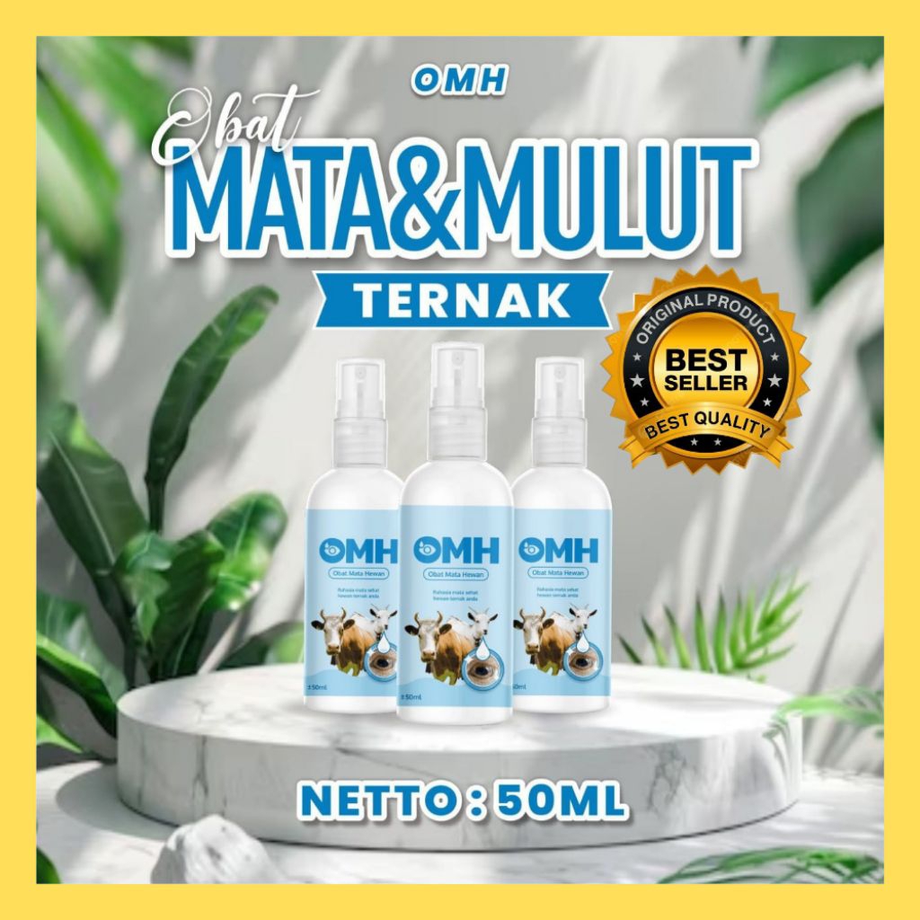 UNTUK TERNAK  Obat Belekan Sapi Dewasa, Obat Belekan Sapi Di Mata