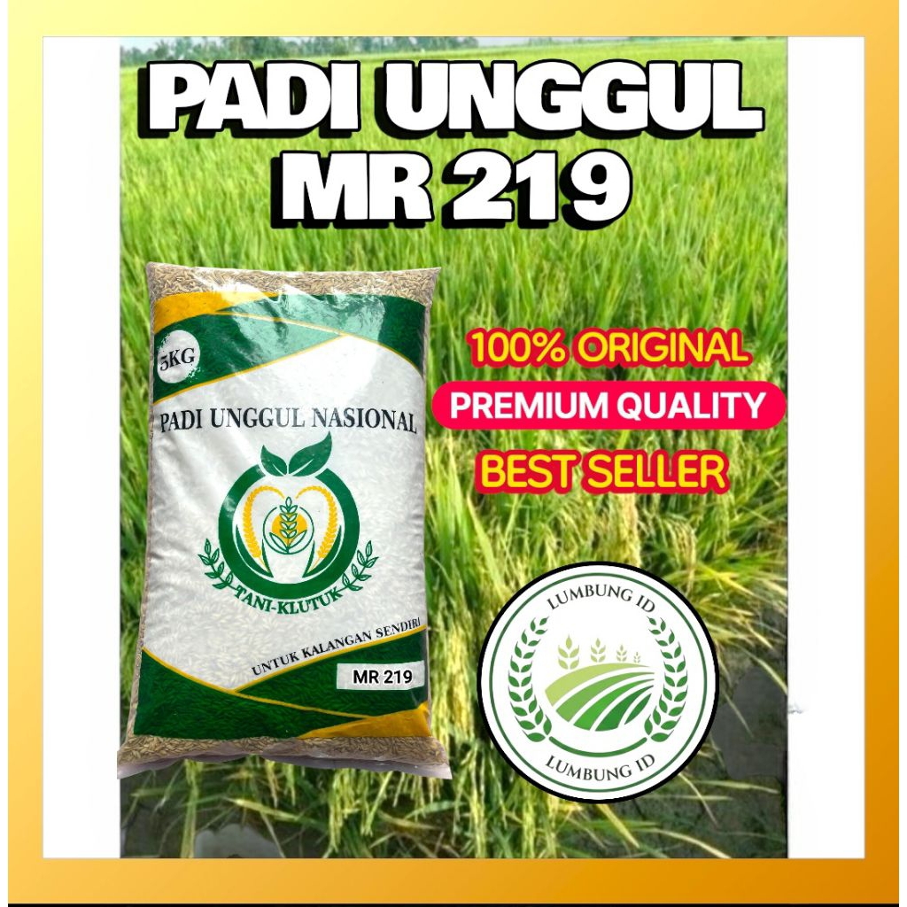 benih padi bibit padi unggul MR 219 premium kemasan 5kg tahan rebah