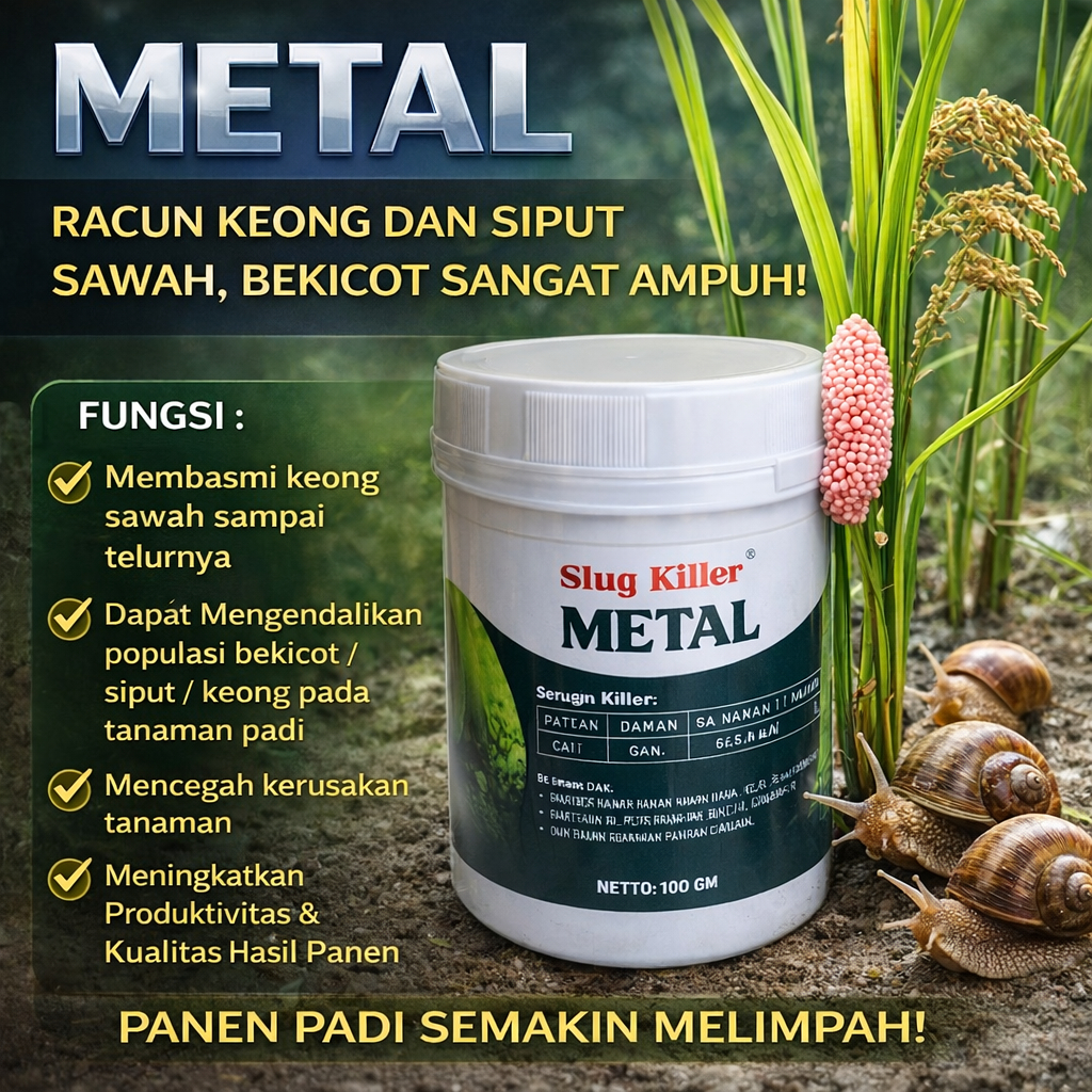 Methal Racun Keong Dan Siput Sawah, Bekicot Sangat Ampuh