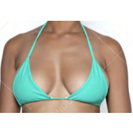 Triangle String Bikini Top | Zephyr - Size S