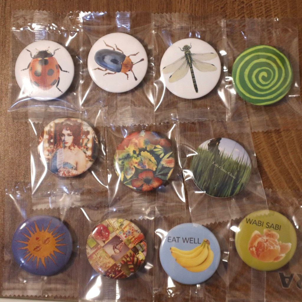 whimsical goth twee Adrianne Lenker Chappell Roan Lily Chou Chou Pin Badges Peniti 4,4 cm