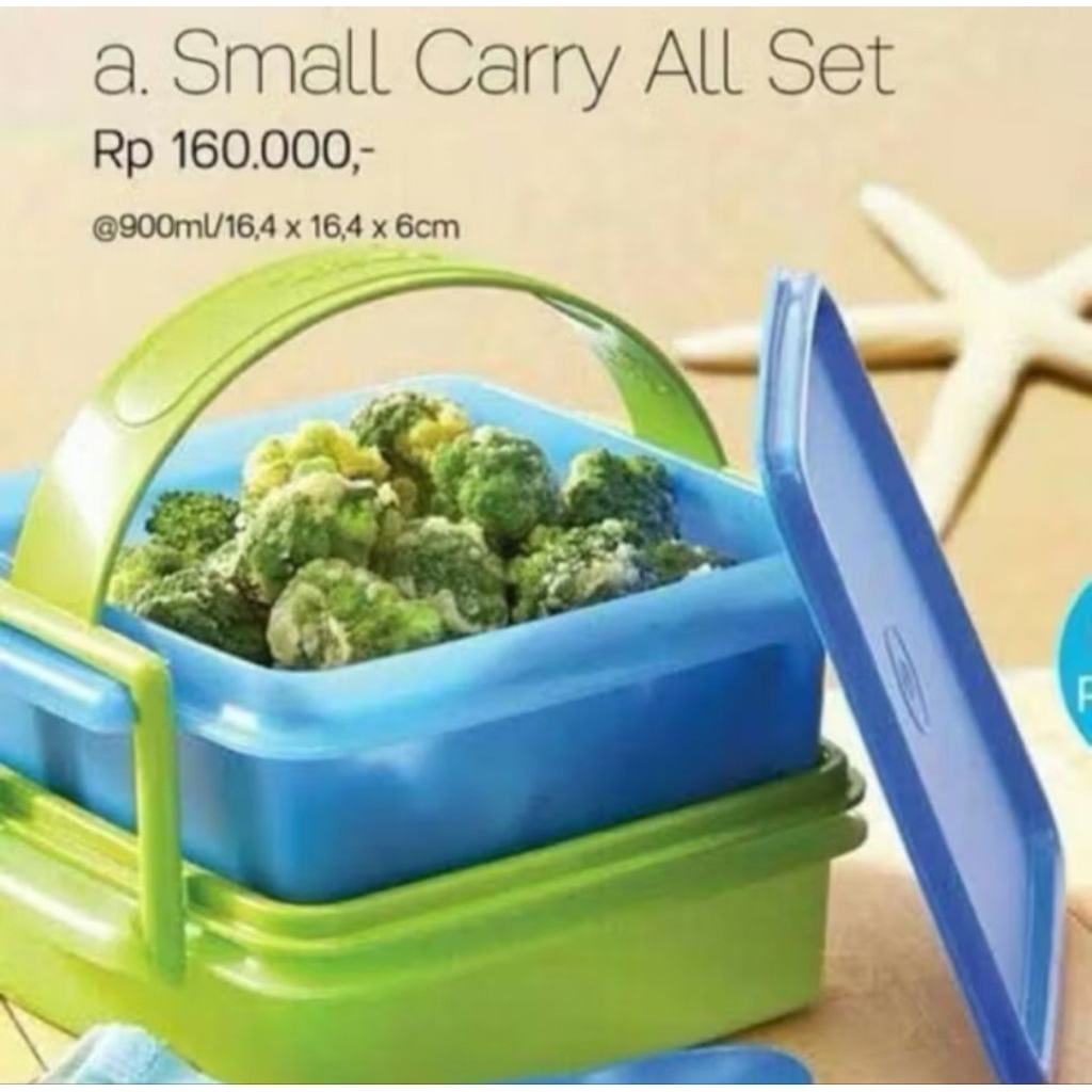 Tupperware Small Carry All Set 2 susun dengan sekat  rantang plastik warna random carryall  piknik  