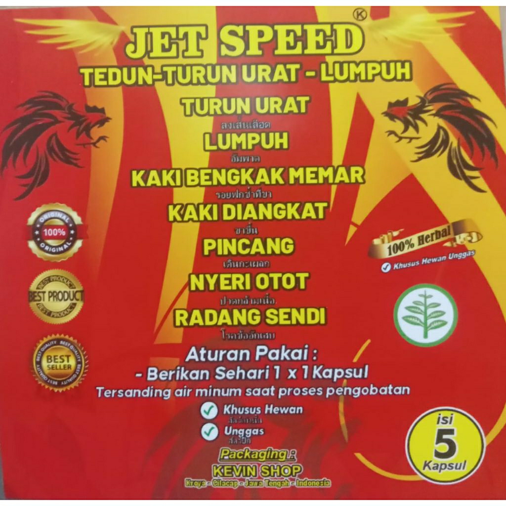 Tedun Turun urat Lumpuh Ayam Bangkok