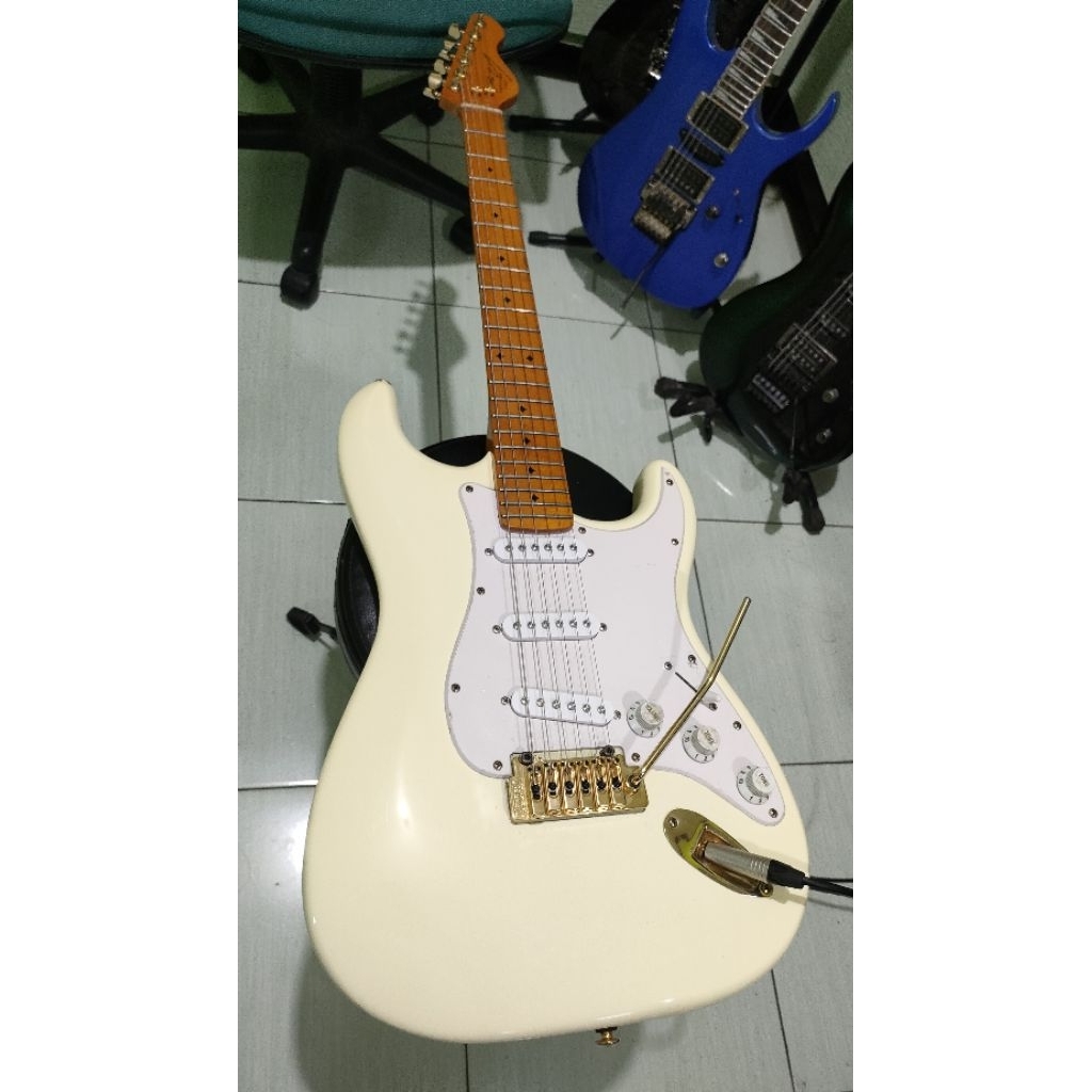 Gitar Dean Zelinsky Tagliare Private Label