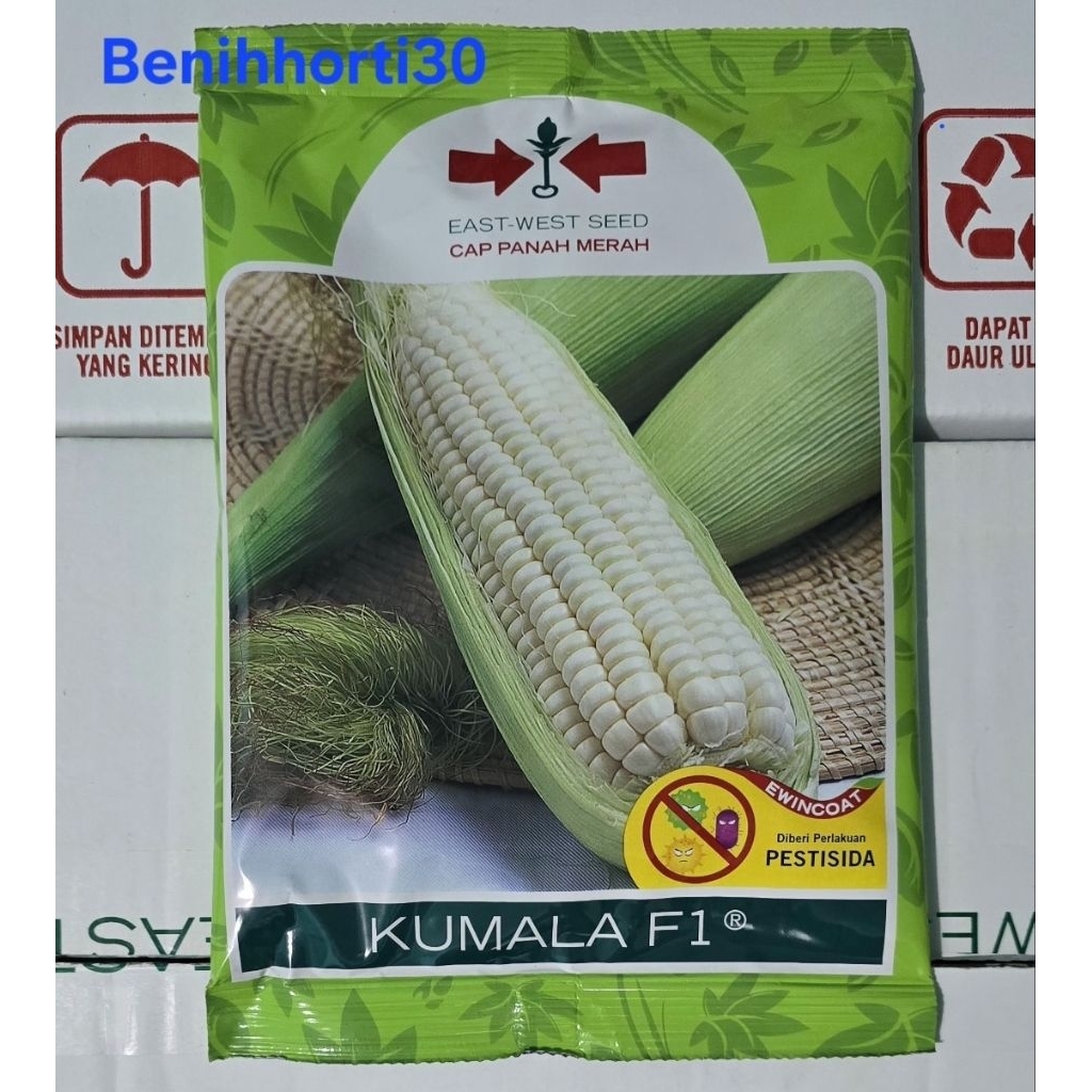 Benih Jagung Pulut Kumala f1 isi 250 gram
