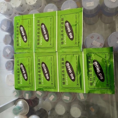 Big Grow 20 Wp Pembesar Buah Naga Gibberellic Acid