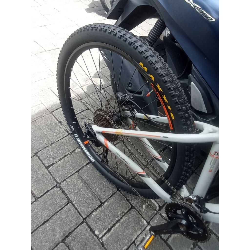 polygon siskiu 6 size S