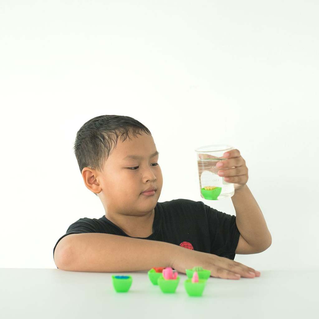 STEM Growing Mini Cactus Kit Anak + Buku Komik Edukatif – Mainan Edukasi Sains Belajar Menanam Tanam