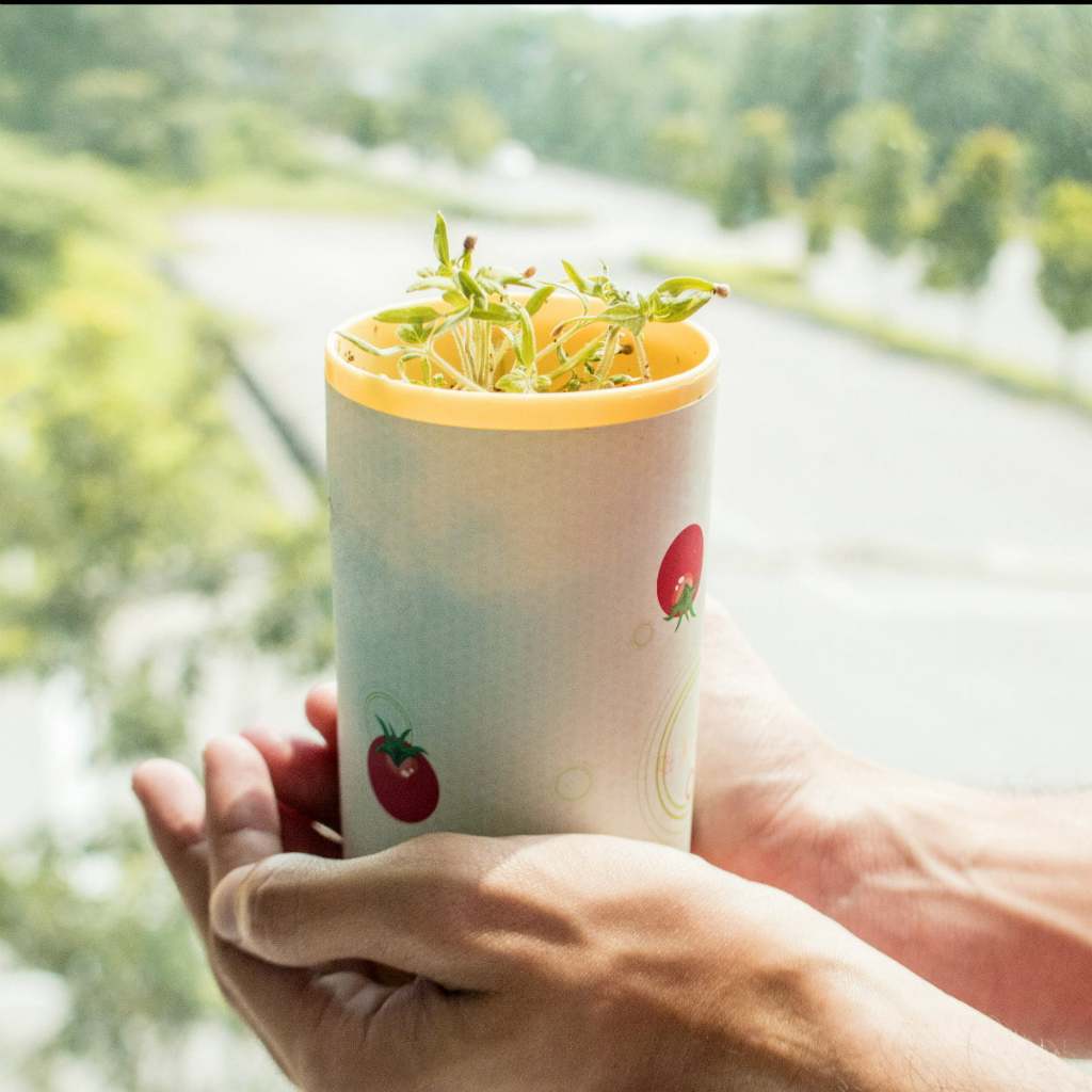 STEM Pot The Plant Kit Anak + Buku Komik Edukatif – Mainan Edukasi Sains Belajar Menanam Tanaman DIY