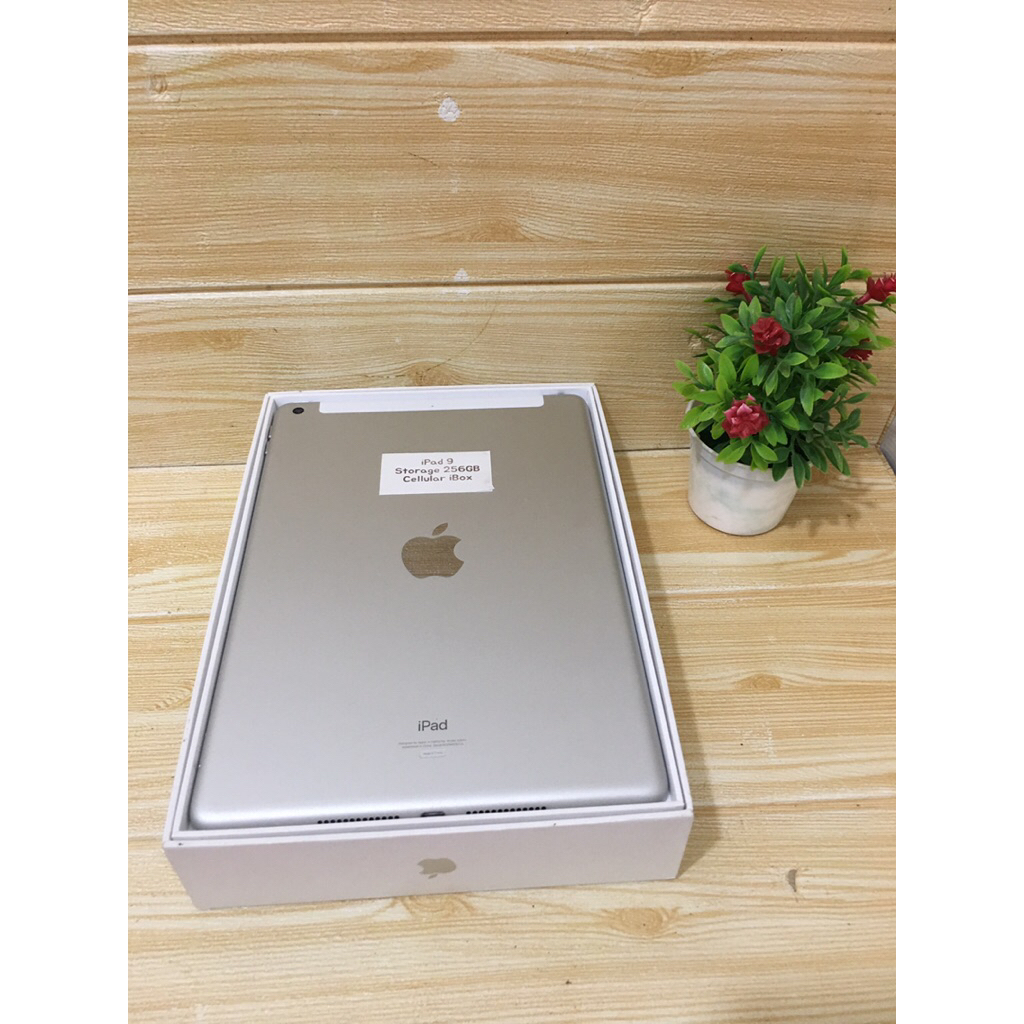 iPad 9 256GB wifi & cellular