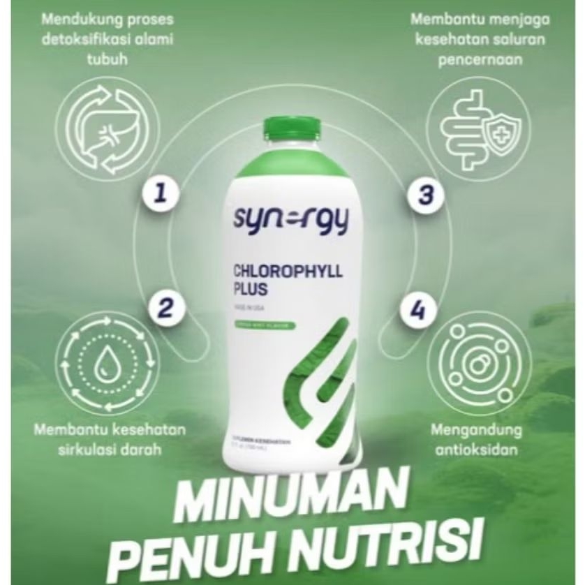 CHLOROPHYLL PLUS SYNERGY