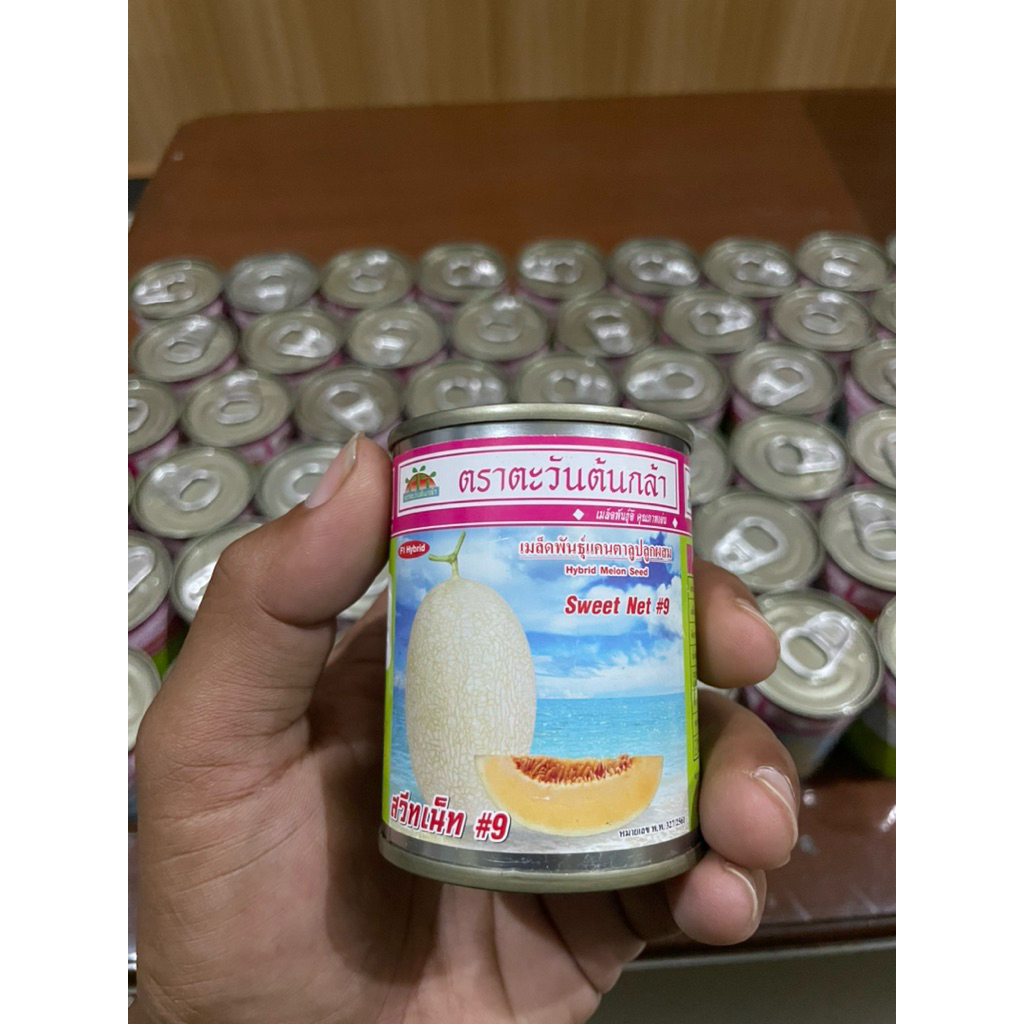 Benih melon sweet net9 by advance original thailand.
