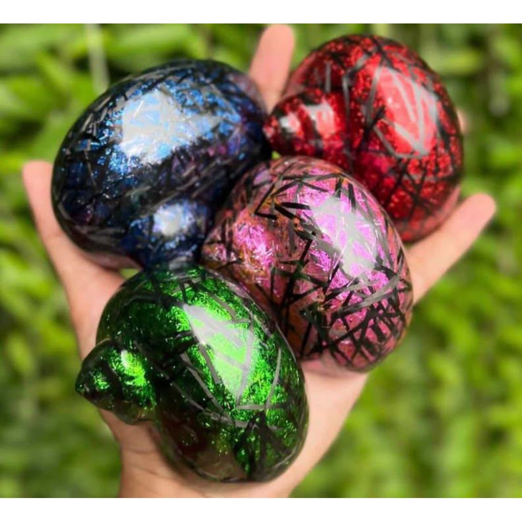 Cangkang Kelomang Carbon