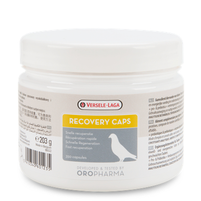 Recovery Caps 350Caps Suplemen Vitamin burung Untuk pemulihan pasca kontes