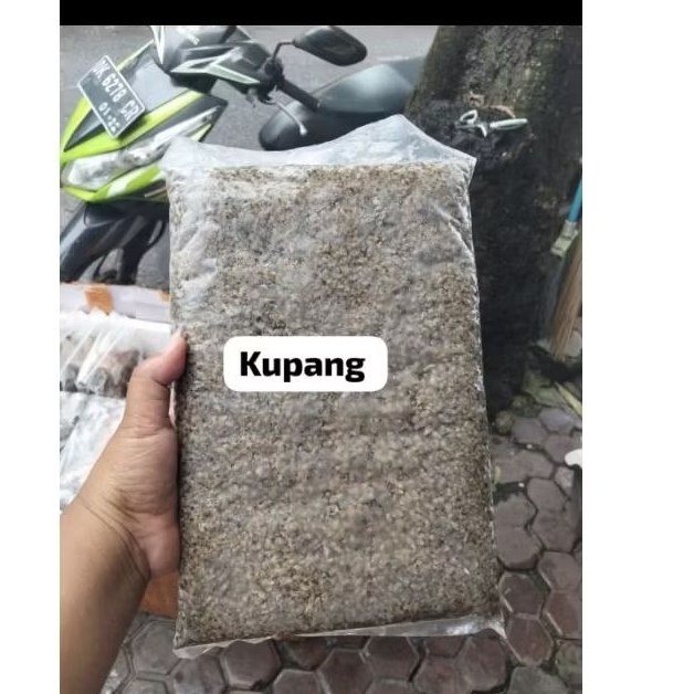 KERANG KUPANG 1kg