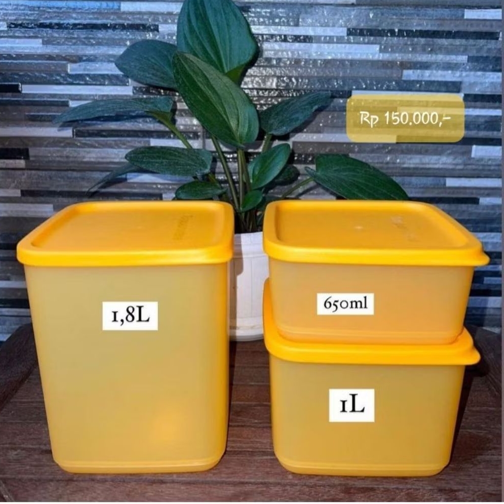 Summer fresh toples tupperware