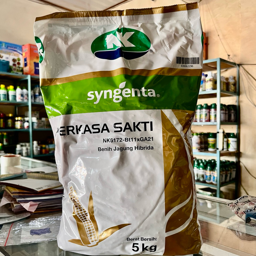 Benih Jagung Biotek Tahan Glifosat Perkasa Sakti 5Kg. Benih Jagung Hibrida Perkasa Sakti