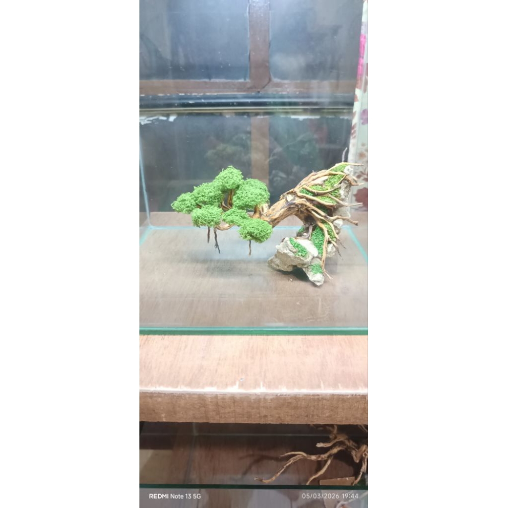 bonsai aquascape tanaman sintesis