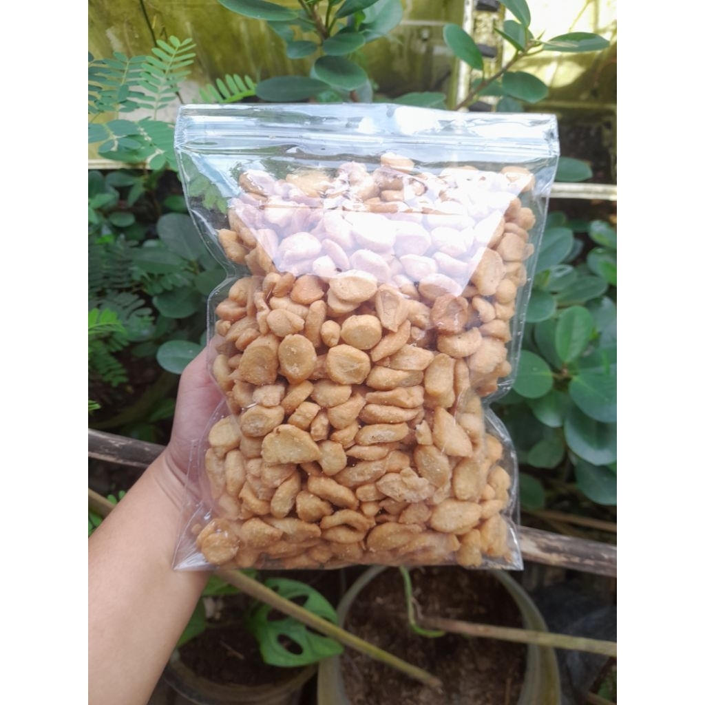 Biji ketapang 1kg manis gurih