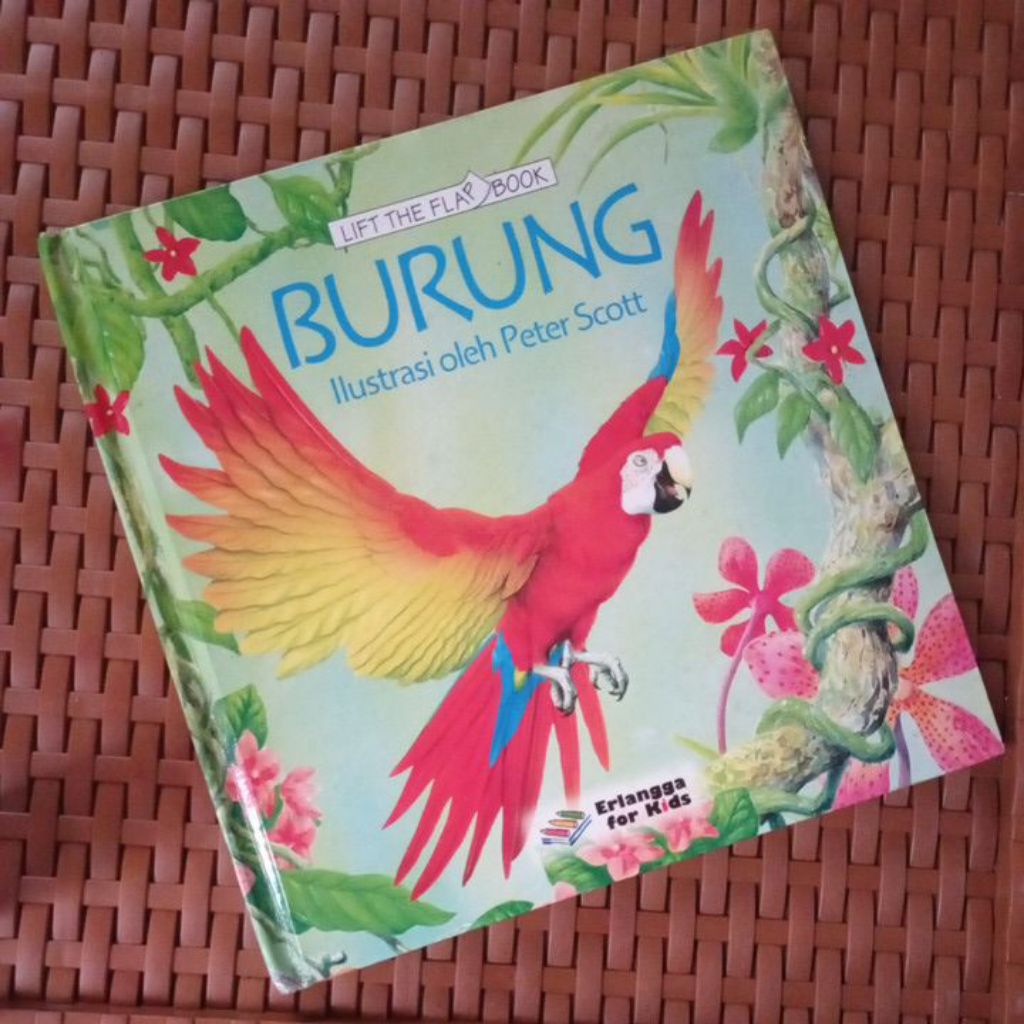 Buku Erlangga For Kids Lift the Flap Book Burung | Buku Anak Preloved