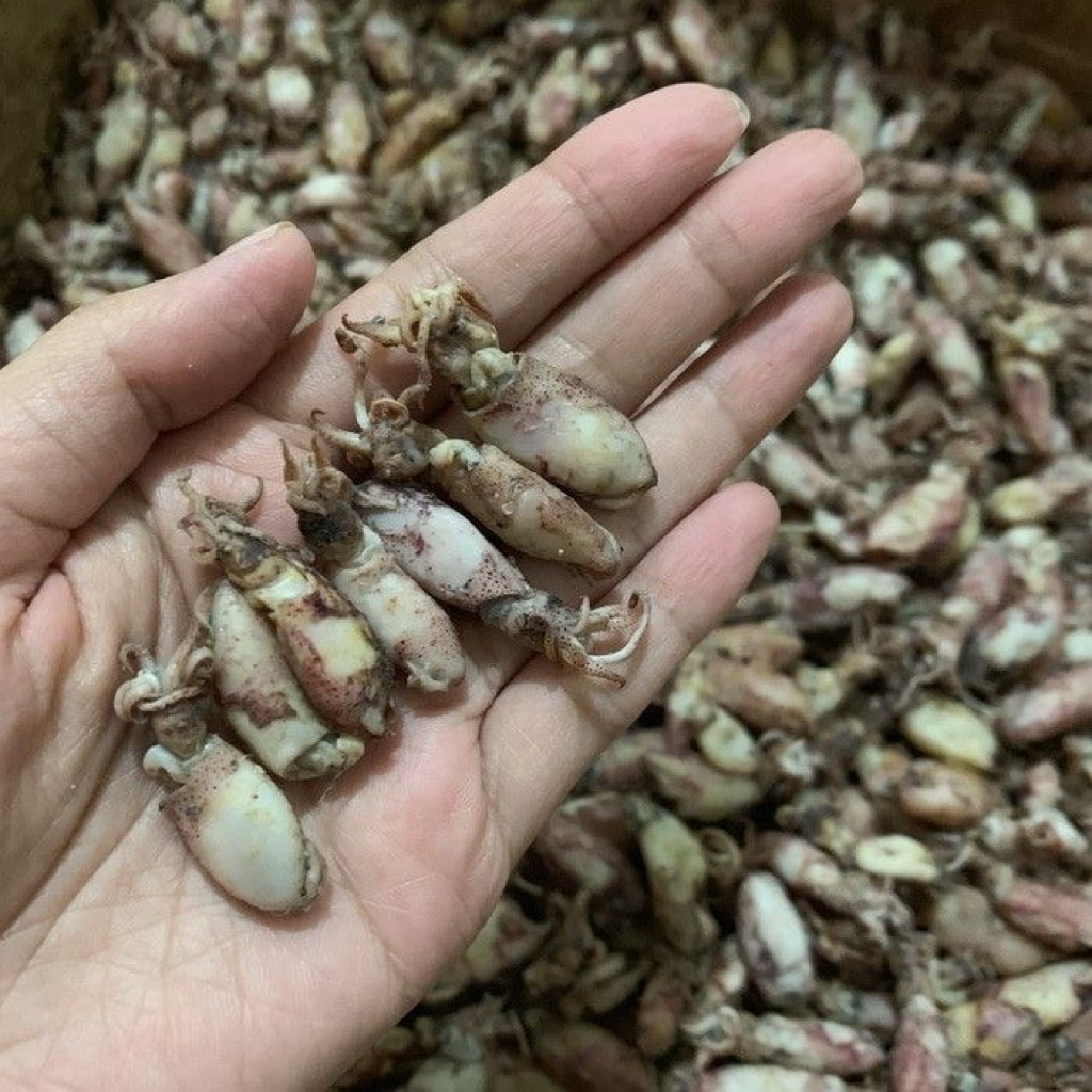 Cumi asin kering 1 kg