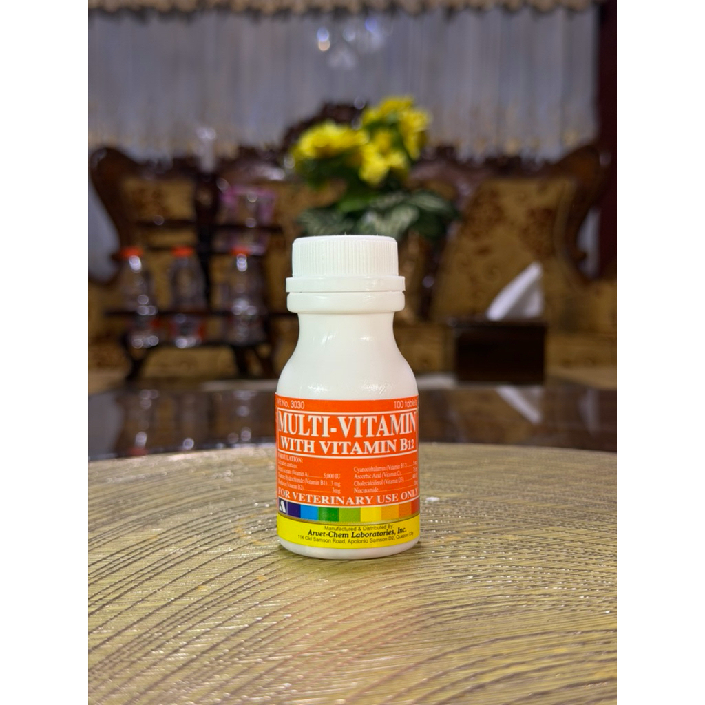 B12 Multivitamin Ayam