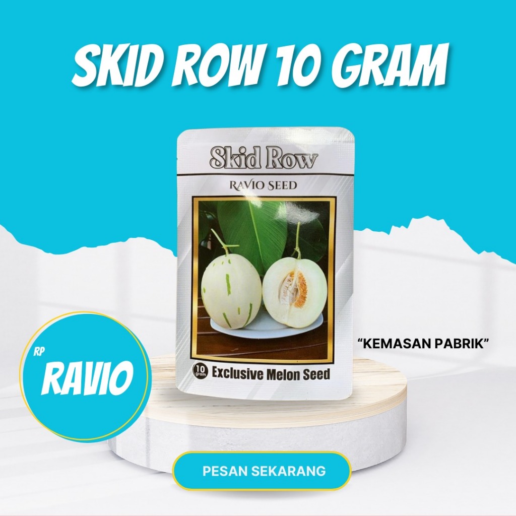 Skid Row Benih melon Ravio seed 10 gr