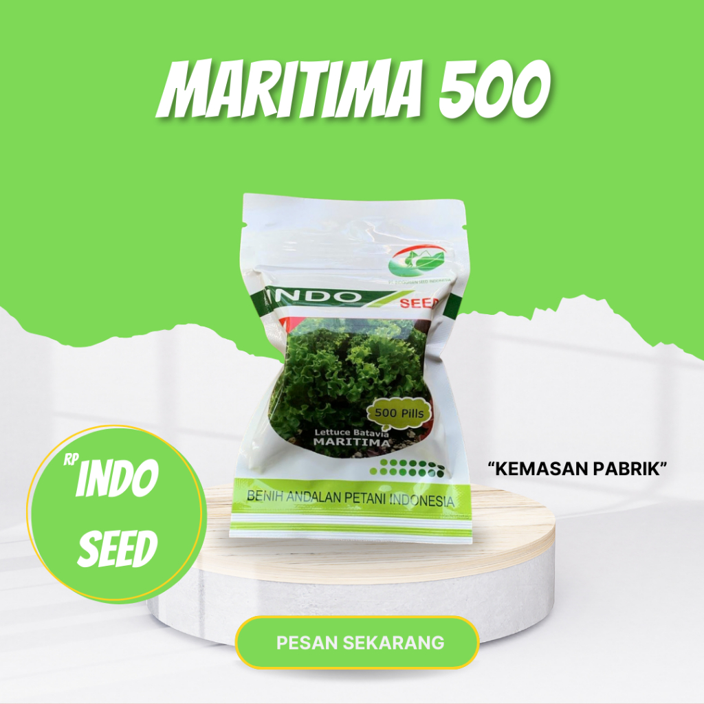 MARITIMA Benih selada batavia indo seed 500 pills