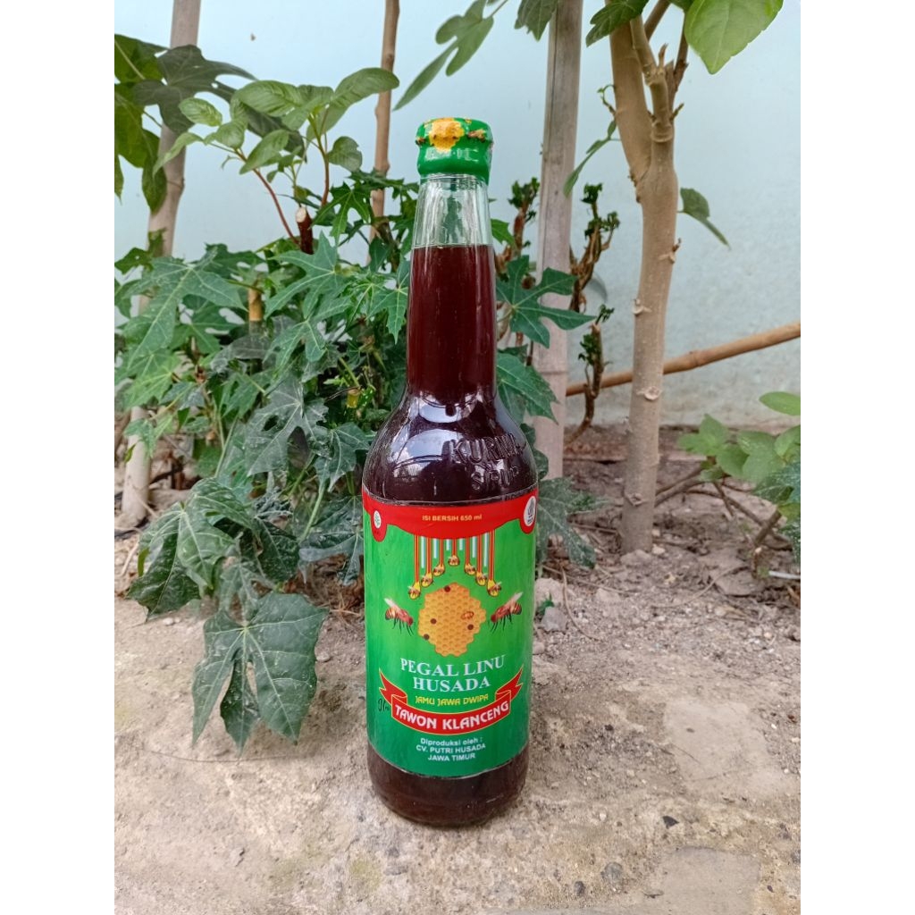 ASAM URAT - PEGEL LINU - JAMU TRADISIONAL TAWON KLANCENG JAMU PEGEL LINU