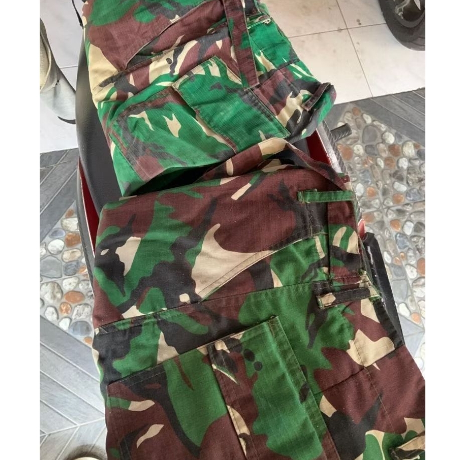 Celana Loreng TNI