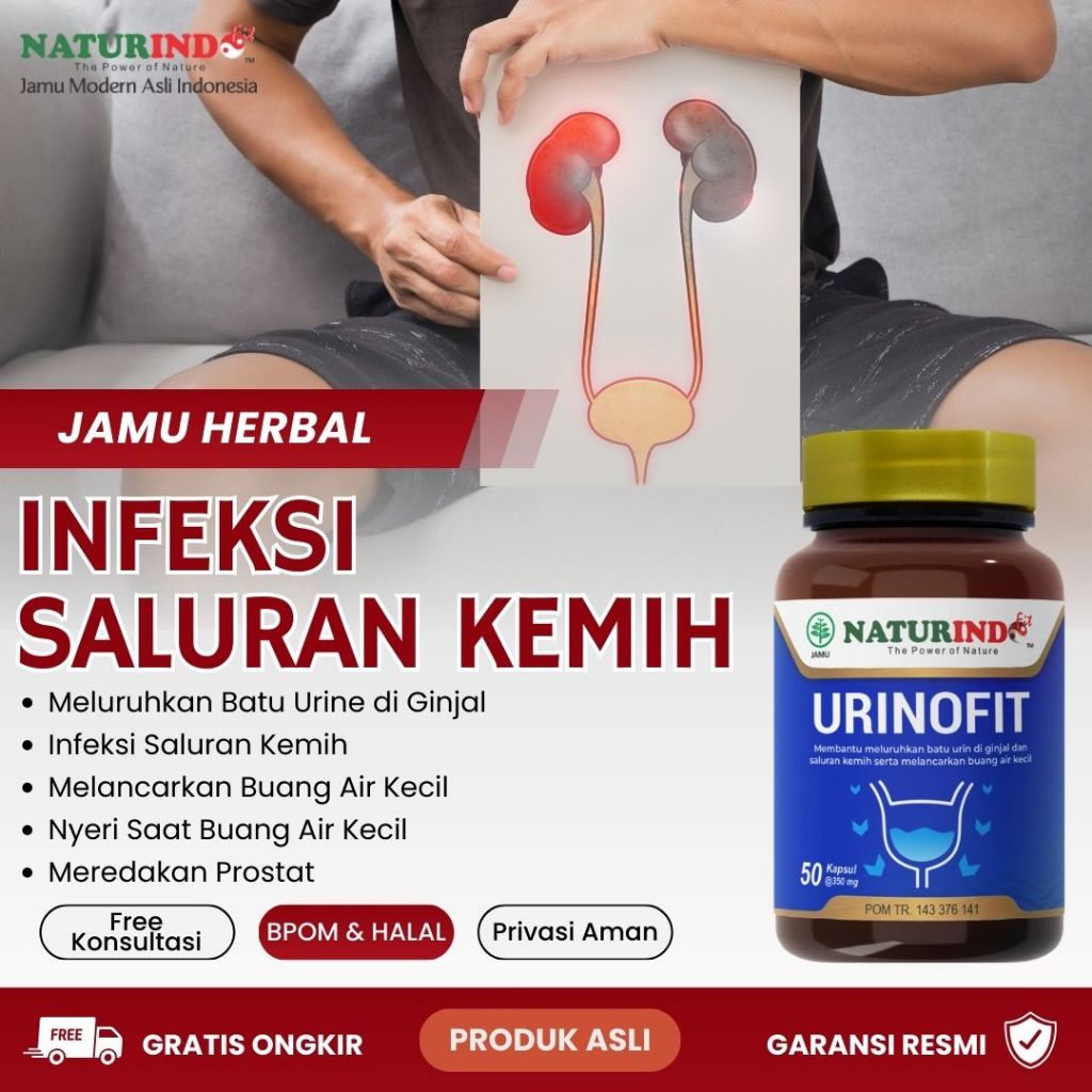 Herbal Alami Batu Ginjal Sulit Kencing Sakit Prostat Infeksi Saluran Kencing Anyang Anyangen Atasi S