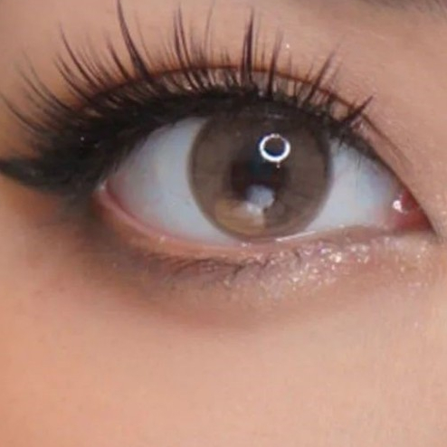 softlens Minus warna cokelat New More Dubai Ocre Brown