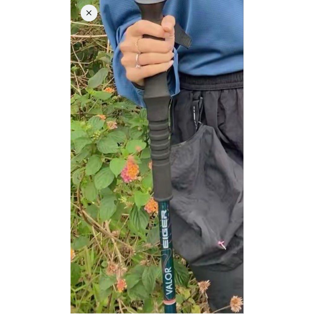 Trekking Pole Eiger Valor